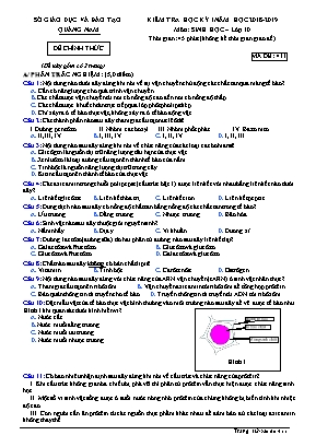 Đề kiểm tra học kỳ I môn Sinh học Lớp 10 - Mã đề 411 - Năm học 2018-2019 - Sở giáo dục và đào tạo tỉnh Quảng Nam